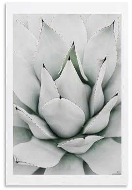 TSIDDKA Poster mit grüner Agave, Wohnzimmer, Schlafzimmer, Dekoration, modernes ästhetisches Wandkunst, Poster, Geschenk für Freunde, ungerahmt, 40 x 60 cm