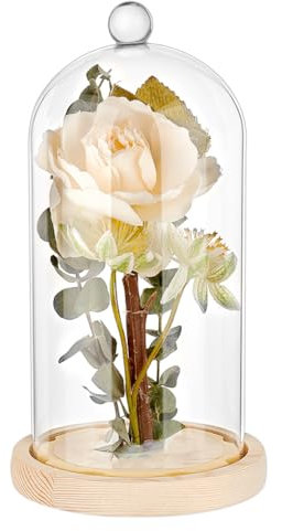PH PandaHall Cloche Glass Dome, Clear Glass Display Dome with Top Handle Cloche Bell Jar Dome Cover Decorative Display Case for Plants Flower Cake Clay Succulents Christmas Display, 9x4.7 inch