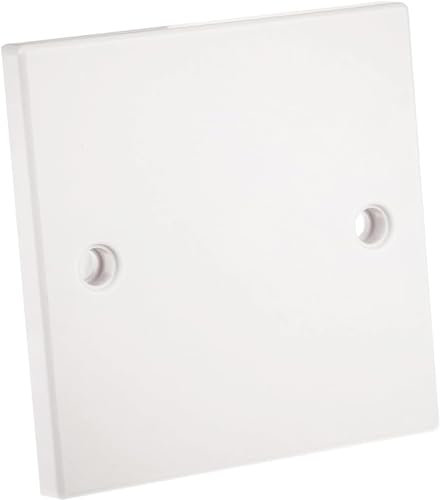 rhinocables Single Socket Blanking Plate – Plug Covers, UK | Waterproof Light Switch Cover | Electric Wall Fitting | Blank Cover Plate for Unused Outlet | White with Screws (Pack of 1)