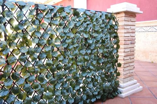 Suinga - Treillis en osier extensible avec des feuilles de saule. 1 x 2 mètres.