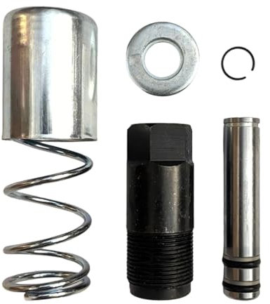 Dickly Double Pompe Horizontale à Piston, pièces de Rechange polyvalentes, Pompe à à vérin Horizontal hydraulique Robuste pour Jeu de Joints de Voiture, Un