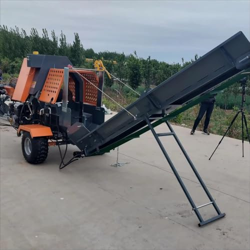 Spaccalegna con motore e motore da 220 V, grande capacità, resistente, strumento per spaccalegna, per casa e cabine