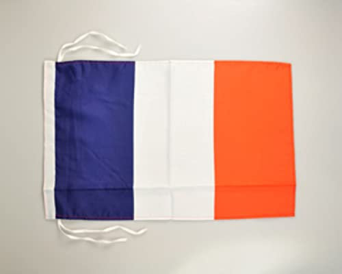 Drapeau de la France 30 x 45 cm