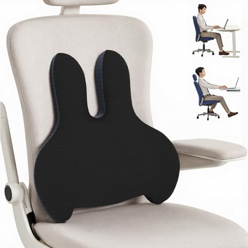 Catoco Lendenkissen Rückenkissen, Memory Foam Lendenwirbelkissen Auto lendenwirbelstütze Auto für Bürostuhl, Schreibtischstuhl, hautfreundlichem Bezug und für eine Bequeme Sitzhaltung (Schwarz)