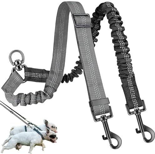 Lot De 2 Laisses Doubles,sans Enchevêtrement, 360° Rotative, Double Laisse pour Chien,Coupleur De Laisse Double sans Enchevêtrement,pour Petit Chien, Chiot, Entraînement (Noir+Gris)