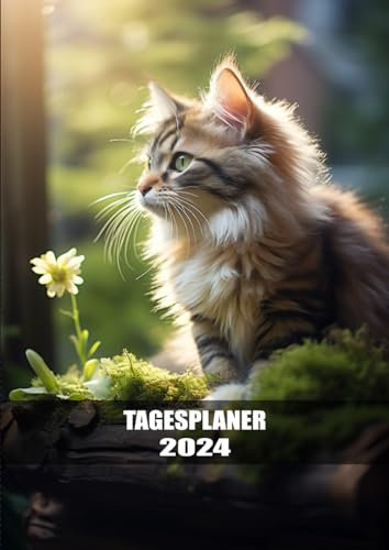 Tagesplaner 2024: 1 Tag pro Seite - Nummerierte Seiten - DIN A4 Buchkalender 12 Monate - Terminplaner mit Uhrzeiten, Feiertagen, To-Do-Listen und Platz für wichtige Notizen - Katzen-Abdeckung
