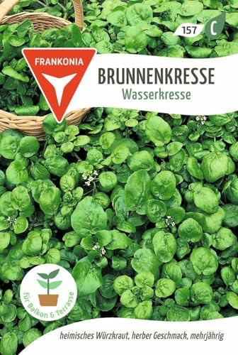 FRANKONIA Brunnenkresse, Wasserkresse - Kräuter-Samen Gewürz-Samen Saatgut (Nasturtium officinae)