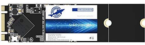 Dogfish SSD M.2 2280 500 GB Ngff Interno Disco Rigido Ad Alta Prestazioni per Notebook SATA III 6Gb/s Ad Alta Prestazioni Di Unità Hard Disk Include SSD 128 GB 256 GB 500 GB 1TB