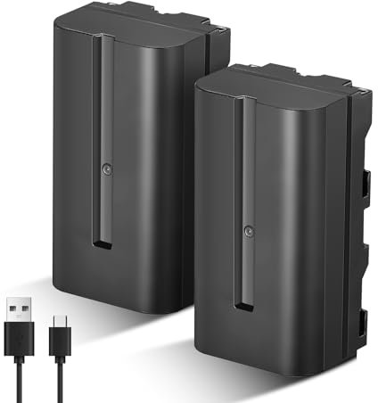 Soonpho 2-Pack NP-F550 Batterie de Rechange Remplacement Battery pour Sony NP-F970 F960 F950 F770 F750 F570 F550 Compatible Godox Neewer caméscope/Moniteur/caméra