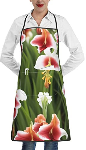 Lrtyuasq Grembiule da cucina con stampa lavanda ragazza carina, grembiule da cucina da uomo, grembiule da cucina, grembiule impermeabile per personale di giardinaggio, con tasche, Fiore Gladiolo,