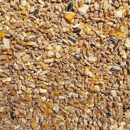 Supravit Geflügelkörnerfutter 5kg ohne Gentechnik - Körnermischung für Geflügel, Hühner, Wachteln & Enten - ideal als Alleinfutter, Zusatzfutter & Winterfutter geeignet