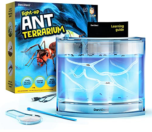 Dan&Darci Light-up Ant Farm Terrarium Kit for Kids – LED Habitat for Live Ants with Nutrient Rich Gel - Watch Them Dig Their Own Tunnels - Learning Science Toys, Experiment Gift for Boys & Girls