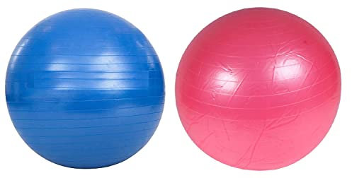 NETPROSHOP Power Play Ball Pferde Spielball Blau oder Rosa, Durchmesser ca. 90 cm, Farbe:Blau