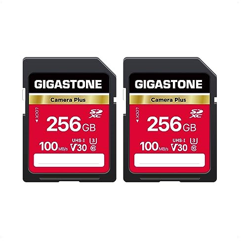 GIGASTONE 256GB SDXC Speicherkarte 2er-Pack, Kamera Plus, bis zu 100 MB/s für Digitalkameras Canon, 4K UHD Videoaufnahmen UHS-I U3 V30 Klasse 10, mit 2 Mini-Hülle