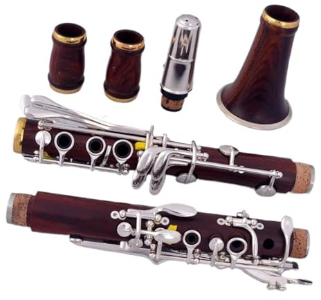 Anfänger klarinette Professionelle Klarinette Aus Rotem Holz, Palisander BB, Vergoldet, 17 Tasten, Zubehörset Mit Box