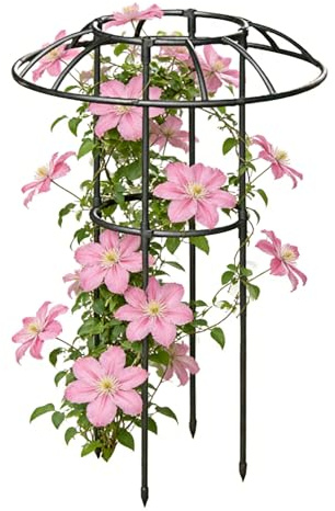 Treillis parapluie pour jardin | Support décoratif vertical pour plantes grimpantes - Structure avec couronne en forme de champignon - Pour roses clématites, concombres, hortensias, jasmin et pothos