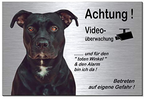 Pitbull-Videoüberwachung-Hund-Schild-Hundeschild-300 x 200 x 3 mm-Aluminium Edelstahloptik-Hunde-Tierschild-Warnschild-Hinweisschild (133-24 Alu.-silber 30 x 20 cm mit Löcher)