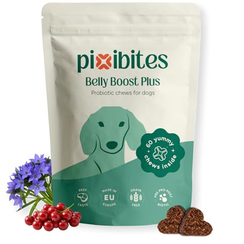 pixibites - Probiotici per Cani, Fermenti Lattici Premium, Supporto Digestivo, Promuove il Benessere Intestinale e le Fisiologiche Difese Immunitarie