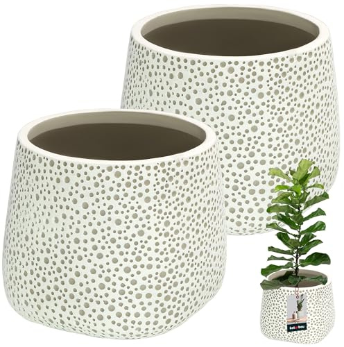 KOTARBAU® Blomkruka oglaserad matt finish grå bukig ⌀ 15 cm | H 16 cm 2 st. blomkrukor överkrukor för inomhusväxter, keramisk blomkruka, stor blomkruka, modern blomkruka