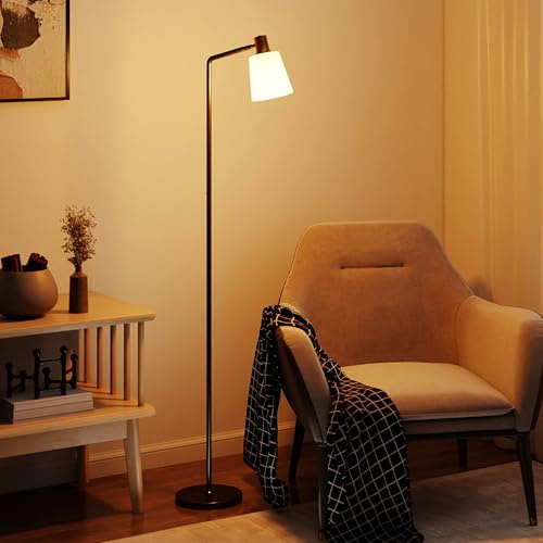 HOMCOM Lampada da Terra LED Regolabile con Testa Girevole a 350°, Lampada Moderna con Regolazione Temperatura del Colore 3000K/4000K/6500K, per Camera e Salotto, Nero