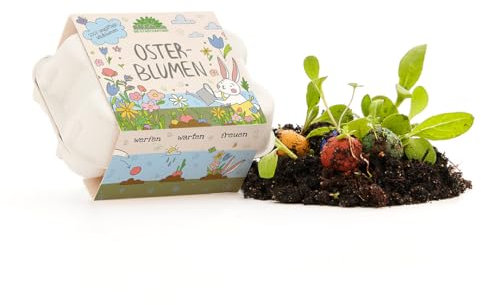 Die Stadtgärtner Osterblumen 6 Bunte Blumenmurmeln im Mini-Eierkarton | Handgerollte, farbenfrohe Samenbomben zu Ostern | 100% ökologisch und Mind. 2 Jahre haltbar | Ostergeschenk für Kinder