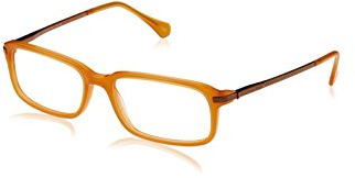 Brillen Ermenegildo Zegna VZ3519 06DS 53/17/