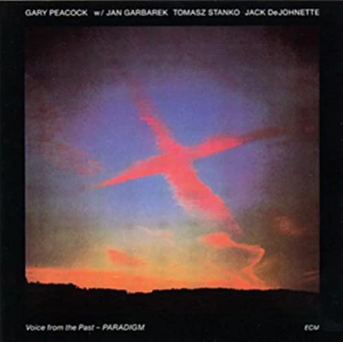 Voice from the Past - Paradigm