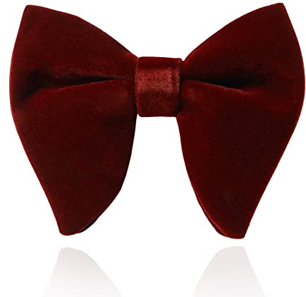 HOULIFE Noeud Papillon en Velours pour Homme - Réglable Pré-noué Couleur Unie Gros Papillon Noeud Papillon pour Marié Fête de Mariage Formelle avec Boîte Cadeau, bordeaux, 12x10cm