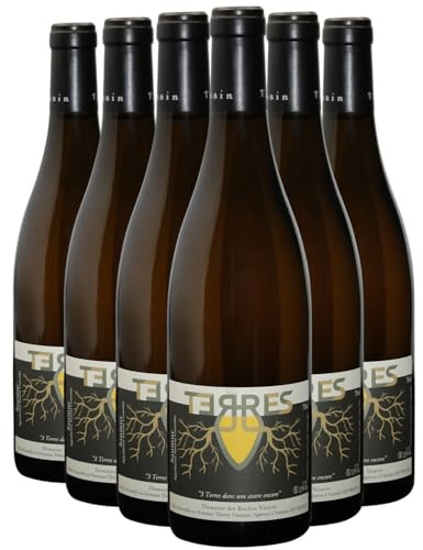 Saumur Terres - Cuvée en Amphore Weißwein 2022 - Bio - Domaine des Roches Neuves - g.U. - Loiretal Frankreich - Rebsorte Chenin - 6x75cl