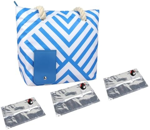 BaoT8YLu Weintasche Mit Zapfhahn, Wein Handtasche Mit Zapfhahn mit 3 Innenblasen, Tasche Mit Zapfhahn, Isolierte Weinkühltasche Mit Griff, Weintasche Strand, Tragbare Weinspendertasche