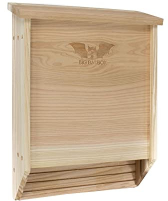 BIGBATBOX - Fledermaushaus für draußen - Reinigen Sie Ihren Garten von Mücken - Fledermaushaus-Set aus Holz - Mit unserem bewährten Fledermauskasten-Design Werden Sie Fast garantiert Fledermäuse