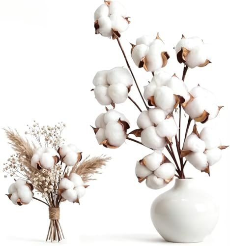 10 pièces Fleurs de Coton Sechee Branche, 5 pièces Fleurs de Tête de Coton | YALiya Naturelle Fleurs Sechees Tige Coton Fleur, Plantes Décoration, pour Balcon Maison Table Composition Florale