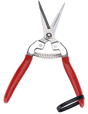 Árbol de los bonsais, herramienta de podadora de tijera de jardín para recolectar uvas de frutas, cítricos, etc.(Straight, 12)