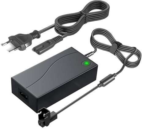 DeJivsin Adaptateur Secteur 29V/24V 2A Power Recliner Alimentation AC/DC Adapter 2 Pin, Alimentation à découpage Transformateur avec Power Cord pour Power Chaise Longue SP2-b Lift Chaise Fauteuil