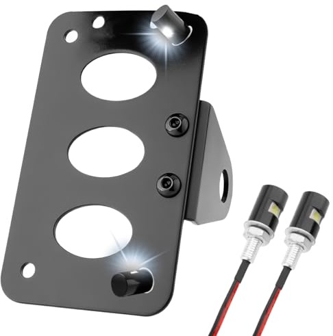 Eagwinger Motorcycle Side Mount Curved License Plate Bracket with LED License Lights Universal Fit for Cruiser Cafe Racer Bobber Chopper Street Bike Scooter Touring (Flat, 3/4'' Hole)