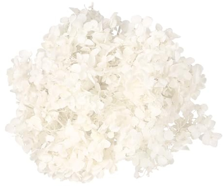 Ciieeo Petali Di Ortensia Essiccati Naturali 20G Petalo Fai Da Te Per Decorazioni Nail Art E Regali Festa Matrimonio