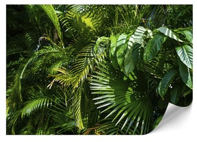 LUMASOUL Papier Peint Intissé 300x210 cm - Jungle Panoramique Tapisserie Murale Facile à Monter - Papiers Peints Modernes Pour le Salon & Chambre à Coucher - Jungle II