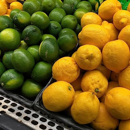 semillas resistentes de limonero - organicas balcones invernadero variedades antiguas exóticas 30pcs