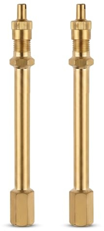 HARY 2 Stück Ventilverlängerung Autoventil 100mm aus Messing, Ventilverlängerung, Autoventil Adapter für Reifen, Füllverlängerung für PKW, LKW, Einrad, Metall Luftventil Verlängerungsstange, Gold