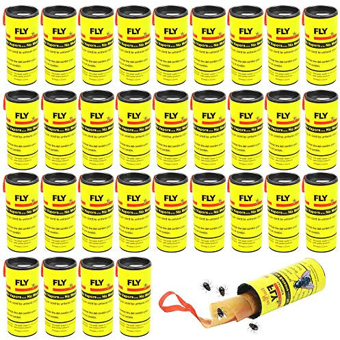BUZIFU 32 Rotolini Acchiappamosche Trappole Adesive per Mosche Carta Moschicida Adesiva Trappola Mosche per Frutta Appiccicosa Carta Moschicida per Esterni Interni per Mosche Zanzare e Insetti Volanti