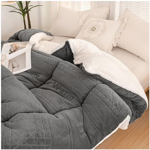 Édredon en Velours d'agneau Respirant et Doux pour La Peau Épaissir Agneau, Couette de Peluche Double Face, Hiver Couverture 2 Personne Laine Luxueuse, Très Chaud Hiver,Gris foncé,110x150cm(1kg)