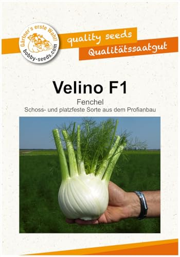 Gemüsesamen Velino F1 Fenchel Portion