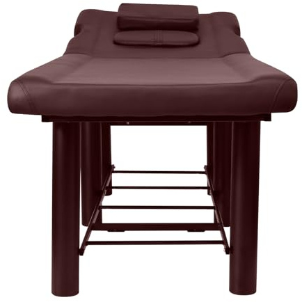 Spa Table, Stationary Massage Table - Massage Bench Waching Bed Metal Frame Cosmetic Table with Adjustable Back Rest for Hairdresser Spa