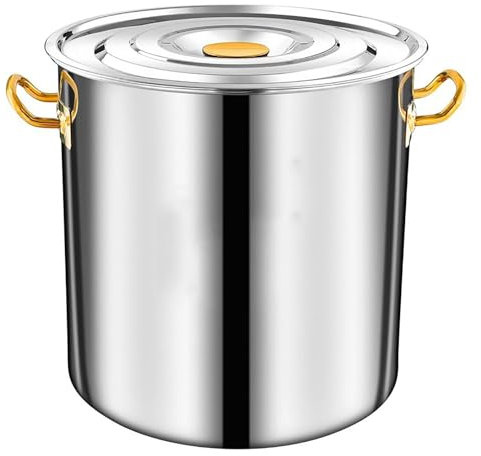 Olla de Acero Inoxidable, ollas Grandes para cocinar, Olla de inducción Resistente con Tapa y Asas remachadas bañadas en Oro, para Cocina de Gas/Cocina de inducción (un Color, 20 l)