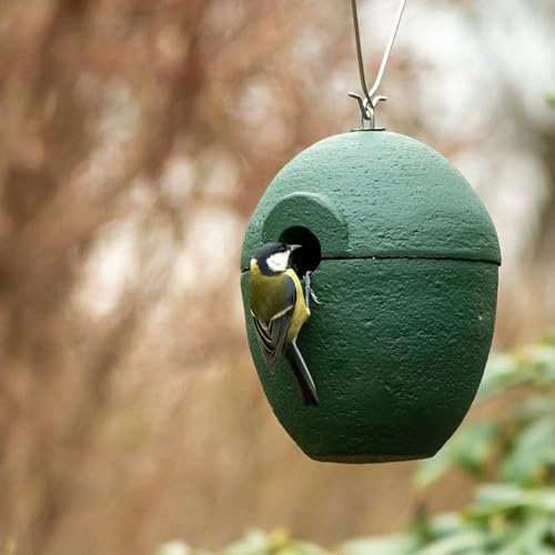 CJ Wildlife Nistkasten – Vogelnistkasten für draußen wetterfest – Holzbeton Grün – Nistkasten für Kohlmeisen, Kleiber, Feldsperlinge – 32 mm Einflugöffnung – 19x13,5x13,5 cm