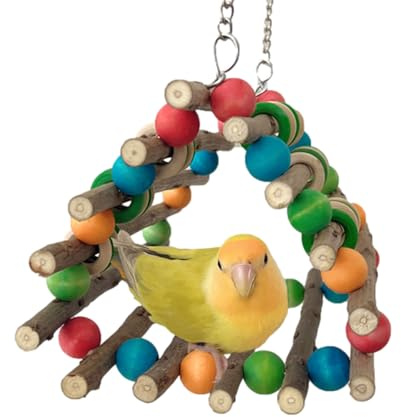 Fågelgungor – träburstativ | interaktiv kolibri fågelgunga, för Conure Cockatiel Lovebird Kanariegul Kanariegul Guinea Chinchilla