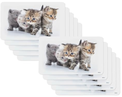 10er SET Kesper 31220 Frühstücksbrettchen KATZE aus Melamin/Stullenbrett/Brotbrett
