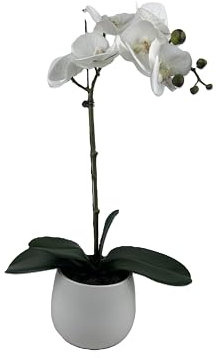 Elegant Single Stem White Real Touch Artificial Potted Orchid (46cm) in Round White Ceramic Pot