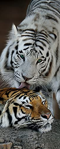A.Monamour Türtapete Selbstklebend Türfolie Türposter 3D Weißes Und Braunes Tiger Tier Thema Vinyl Folie Türdeko Tapete Wandbild Türaufkleber Türtattoo 90 x 200 cm