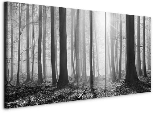murando - Akustikbild Waldlandschaft Natur Baum, Schallschutz, Wohnzimmer | Verbessert Raumakustik, reduziert Hall, ideal fürs Büro oder Wohnzimmer, hochwertige Verarbeitung, schnelle Montage, stilvoll